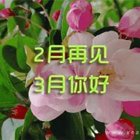 修成一株安静的莲