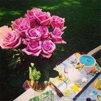 席慕容经典语录,席慕容经典爱情语录、席慕容语录合集