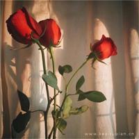 永远不要对爸妈说的10句话