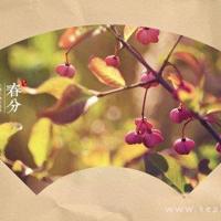 清明节祝福语微信清明小长假微信问候语大全
