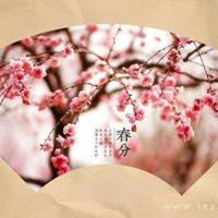 谁动了你的爱情