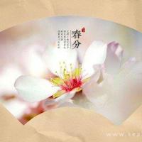 医院停尸间里的歌声