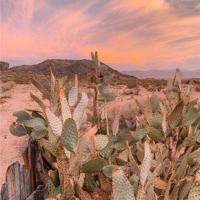 【星火】从照相得到的启示