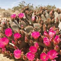 慢慢地陪着你走