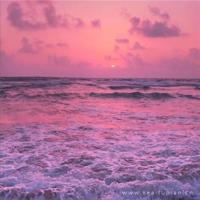 伴随一生的励志美文美句摘抄