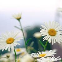 舅舅下葬的第三晚