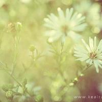 有一种智慧叫示弱