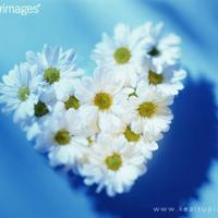 找到你的人生使命