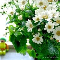 过程须细品，生活有滋味