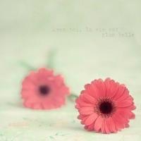 适应孤独,就像适应一种残疾