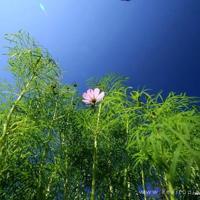 放下所有的复杂