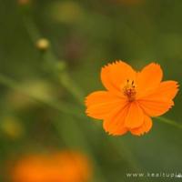 央视点名赵立新因为什么？赵立新被封杀是真的