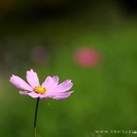 阳光女子意境图集_阳光照耀下的温柔女子