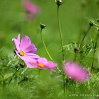 那年·那岁·那佳人