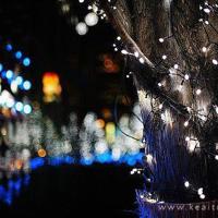 时光静美，岁月安好