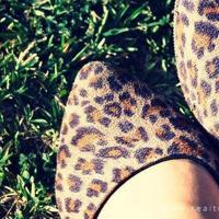 恐怖口袋之夜路