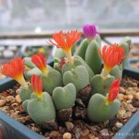 隔开的不仅仅是距离