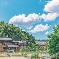 祭奠过去的青春