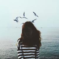 感情可以简简单单，但绝不可以随随便便。