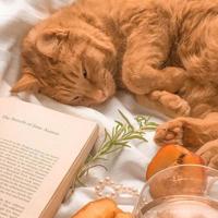 花开又是想你时