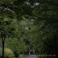 曾有一个微笑打开我的心窗