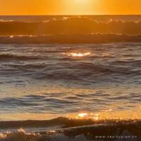 飞光,请你慢慢行