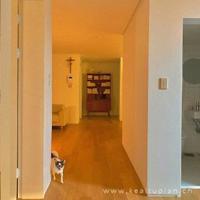 开吧,开吧,爱情的水仙花