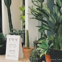 清楚这4点,就会很快度过离婚的不适期