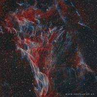 世间没有如果，只有赤裸的现实