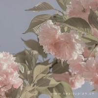 少妇口述：第一次尝试换妻游戏的感受 身体的短暂快感很舒服（图）