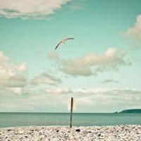 冯巩搞笑经典语录