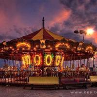 雪中的落叶雪中的花（组诗）