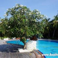 恐怖的周末怪梦_民间鬼故事