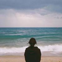 你看阳光如那日所见散文