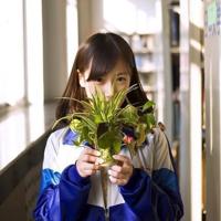 中秋节美文摘抄600字