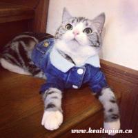 人生的义与价值