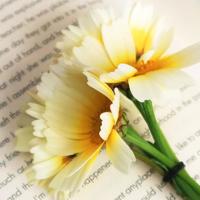 网络流行语，网络名言