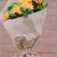 初中生800字美文摘抄