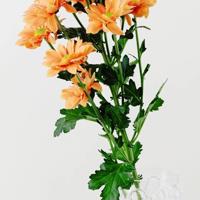 春分节气祝福语暖心问候养生短信大全精选