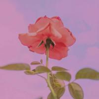 月薪4000元和40000元的人差在哪里