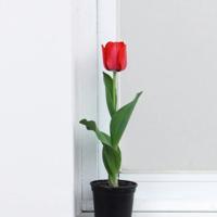 卡夫卡的12条人生感悟