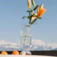 今天，你在做什么