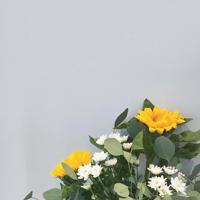 不是因为寂寞才爱你