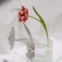 光影的年华唯美素材_梦幻光影世界