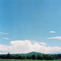 听说你害怕风雨,不想成长?