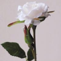 在终点之前我愿再爱一遍