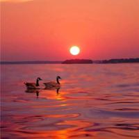 飞雪飘落，澄然归一