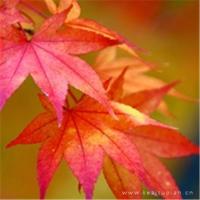 生活不会抛弃你,命运不会舍弃你