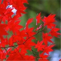 我给孩子的一封信