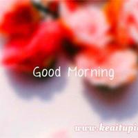 每个人一生中，至少有一次忘我的痴恋，没有奢